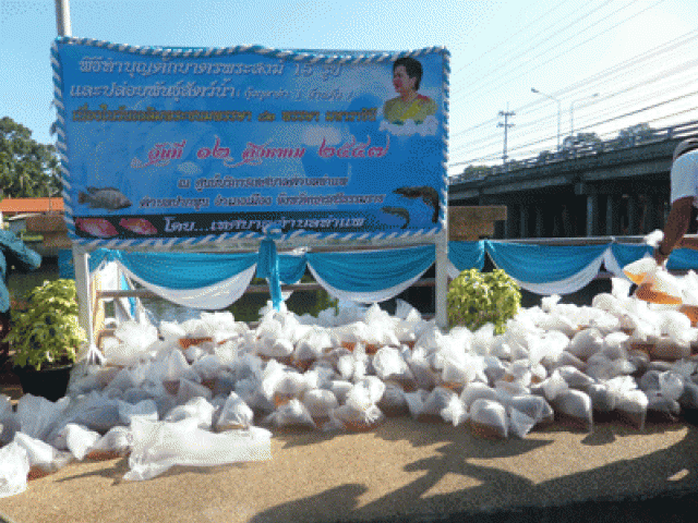กิจกรรมวันแม่ ประจำปี 2557
