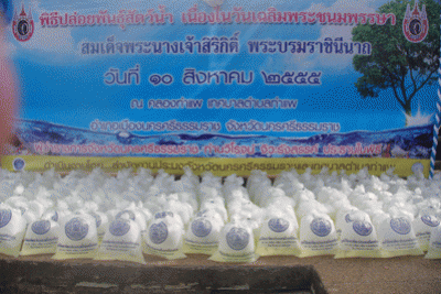 ปล่อยพันธุ์สัตว์น้ำเพื่อถวายเป็นพระราชกุศล 12 สิงหาคม 2555